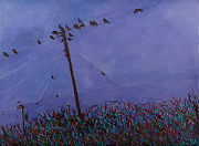 Rooks on wires above a hedgerow, somewhere in Ireland