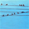 Painting 11 in the Birds, Wires series