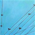 Birds, wires, 12