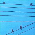 Birds, Wires 8