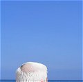 white haired head against blue sky and blue sea